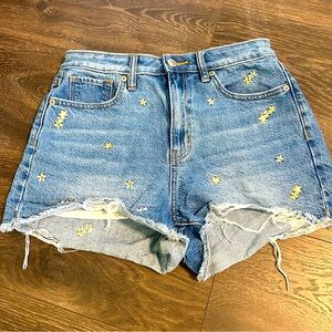 AE embroidered flower jean shorts